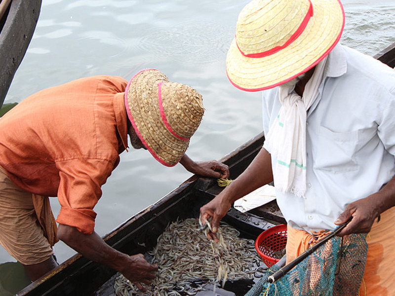 水產(chǎn)養(yǎng)殖檢測水質(zhì)的重要性 水產(chǎn)養(yǎng)殖檢測水質(zhì)的重要性