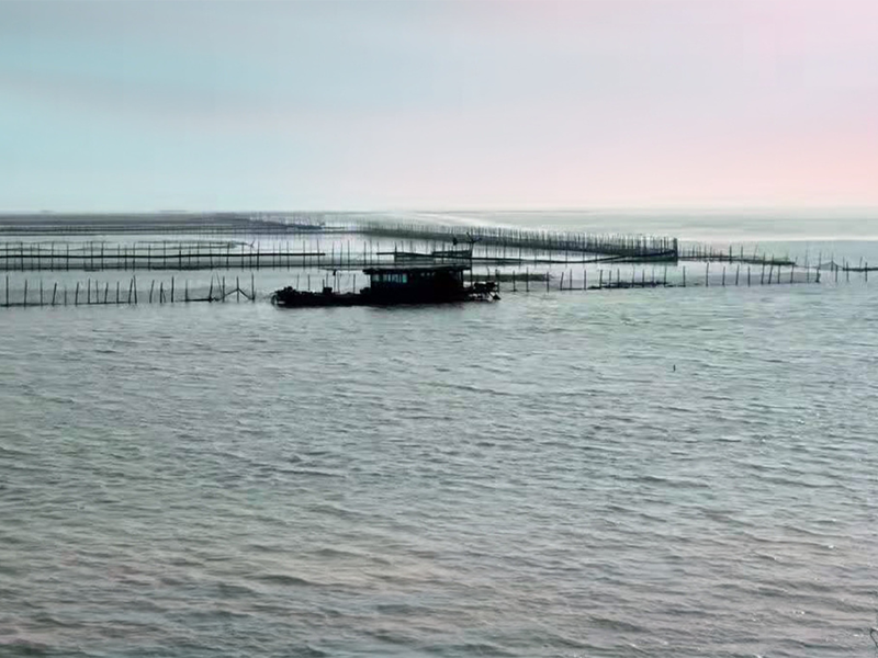 養(yǎng)魚(yú)水質(zhì)檢測(cè)項(xiàng)目 養(yǎng)魚(yú)水質(zhì)檢測(cè)項(xiàng)目