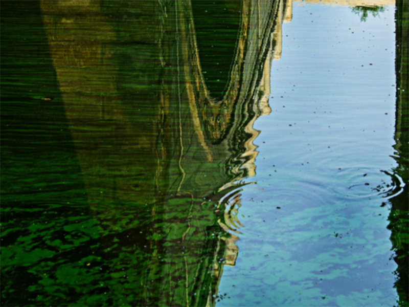 水質(zhì)氨氮超標怎樣處理