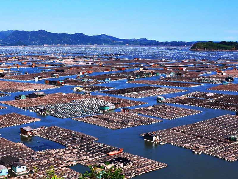 水產(chǎn)養(yǎng)殖二氧化氯使用方法 水產(chǎn)養(yǎng)殖二氧化氯使用方法