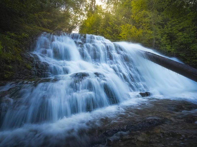 水質(zhì)生物毒性檢測(cè)儀應(yīng)用的必要性 水質(zhì)生物毒性檢測(cè)儀應(yīng)用的必要性