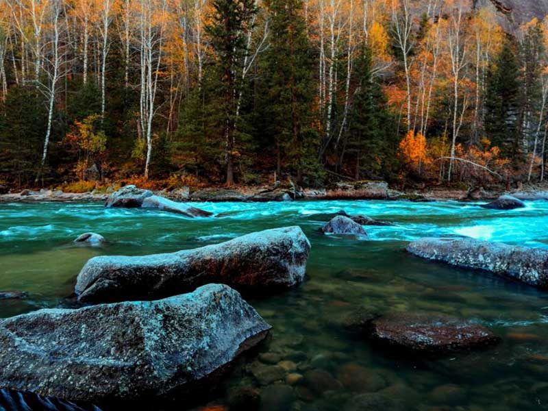 水質(zhì)六價鉻檢測儀使用說明書