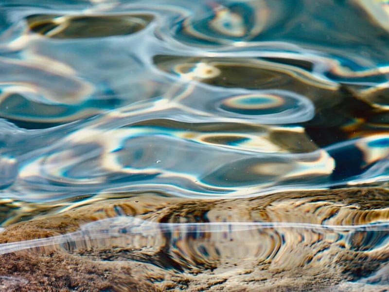 【儀器操作】COD氨氮總磷總氮分析儀標準曲線的制作