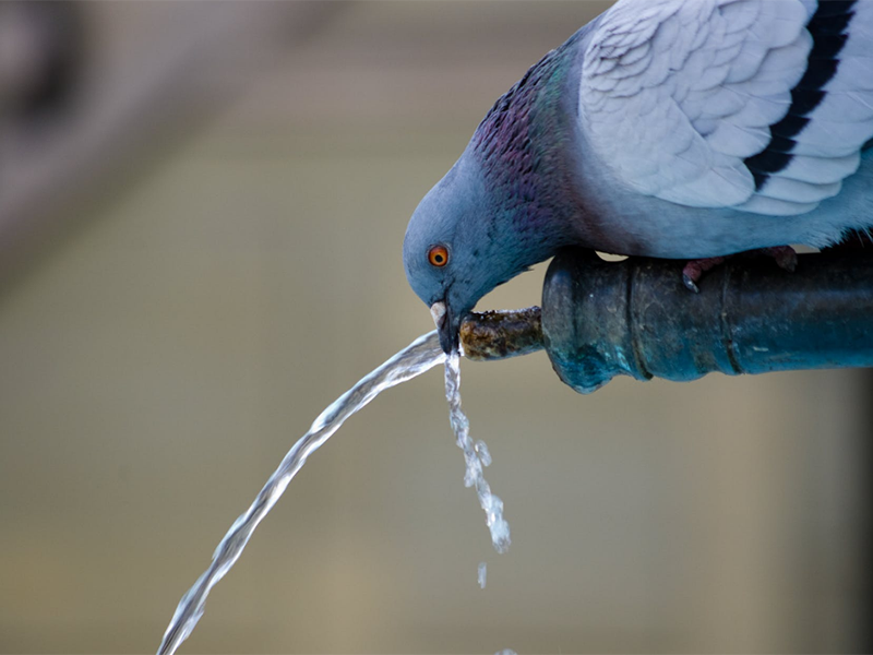 二次供水升級(jí)中水質(zhì)監(jiān)測(cè)設(shè)備的作用(水質(zhì)監(jiān)測(cè)設(shè)備功能特點(diǎn))