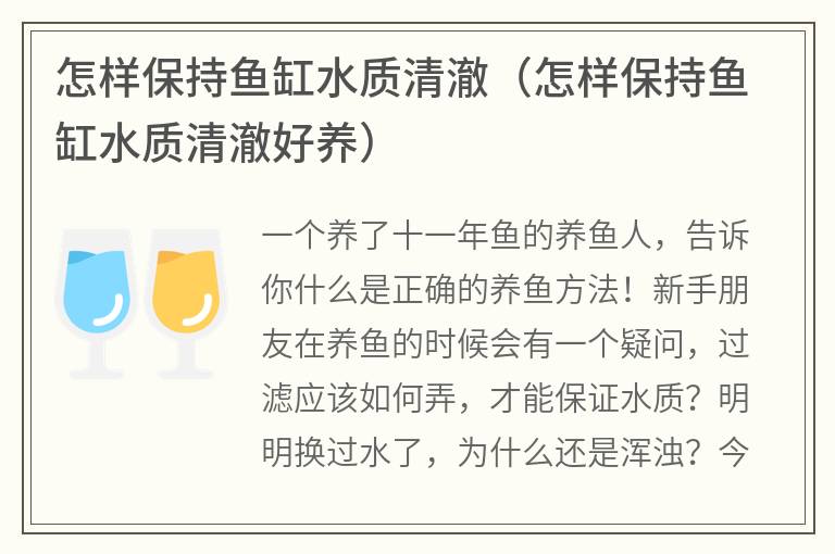 怎樣保持魚缸水質清澈（怎樣保持魚缸水質清澈好養(yǎng)）