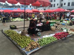 食品安全檢測儀能檢測什么食品？