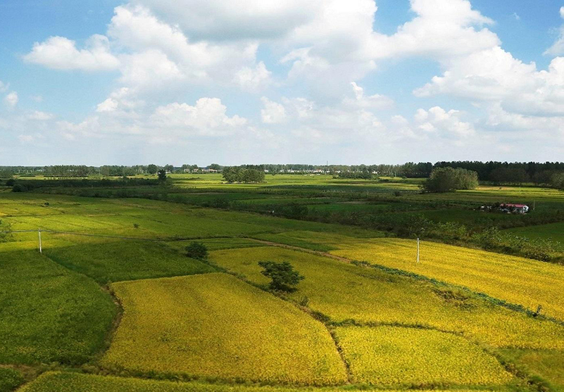 土壤水分測(cè)定儀 土壤水分測(cè)定儀