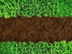 土壤水分測定儀助力農(nóng)業(yè)發(fā)展