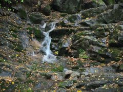 霍爾德余氯分析儀，可用于水源保護工作