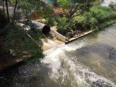 便攜式余氯測定儀，可準確分析水體狀況