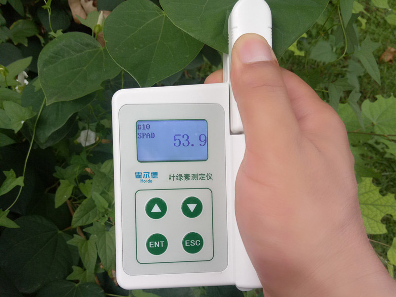 植物的葉綠素含量影響植物的生長(zhǎng) 植物的葉綠素含量影響植物的生長(zhǎng)